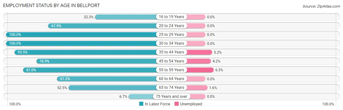 Employment Status by Age in Bellport