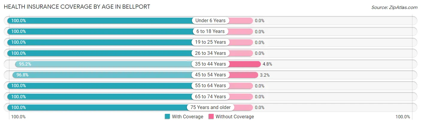 Health Insurance Coverage by Age in Bellport