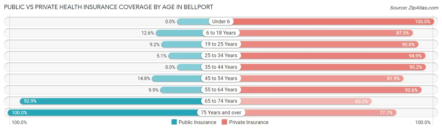 Public vs Private Health Insurance Coverage by Age in Bellport