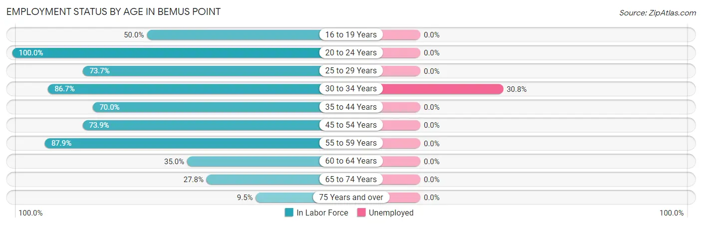 Employment Status by Age in Bemus Point