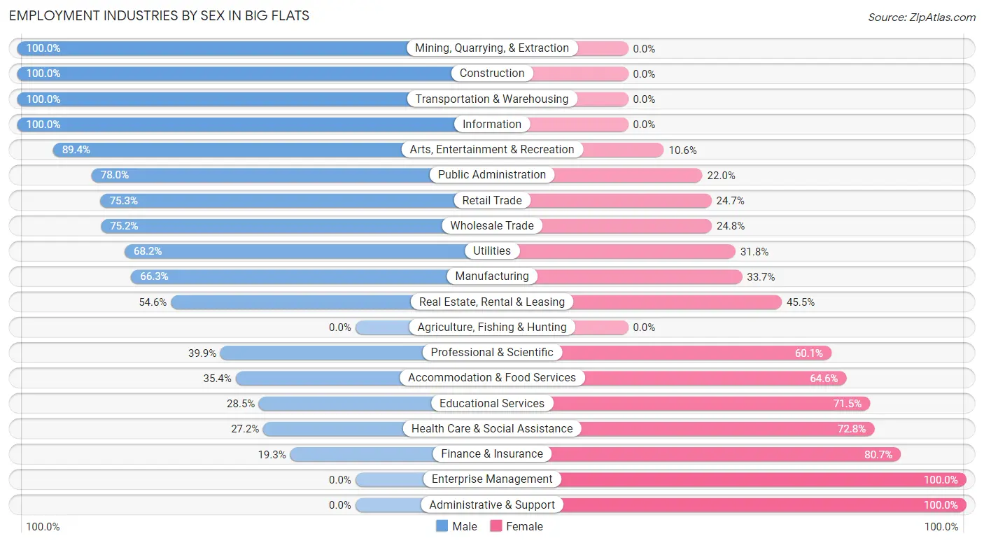 Employment Industries by Sex in Big Flats