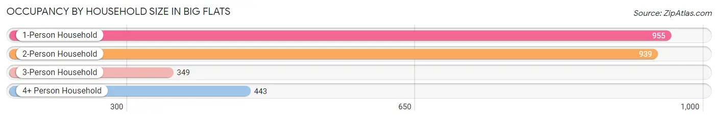 Occupancy by Household Size in Big Flats