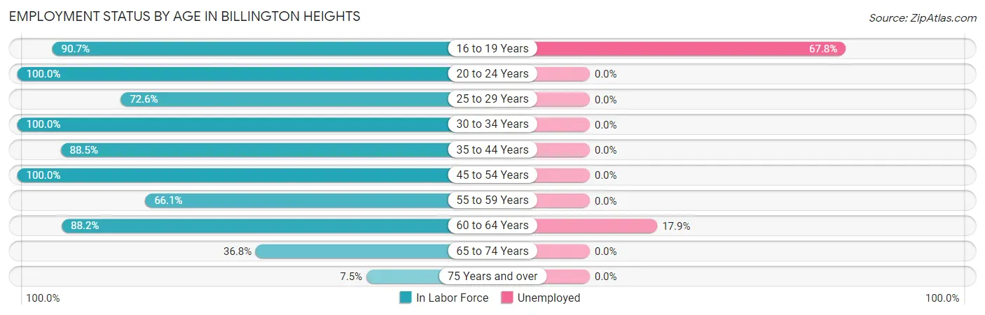 Employment Status by Age in Billington Heights