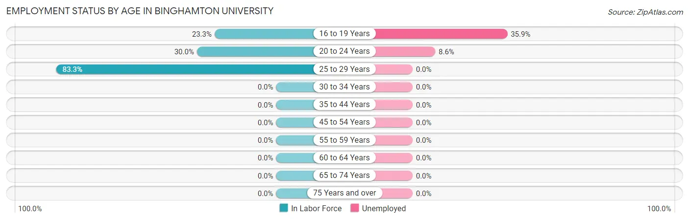 Employment Status by Age in Binghamton University