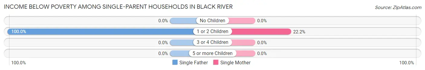 Income Below Poverty Among Single-Parent Households in Black River