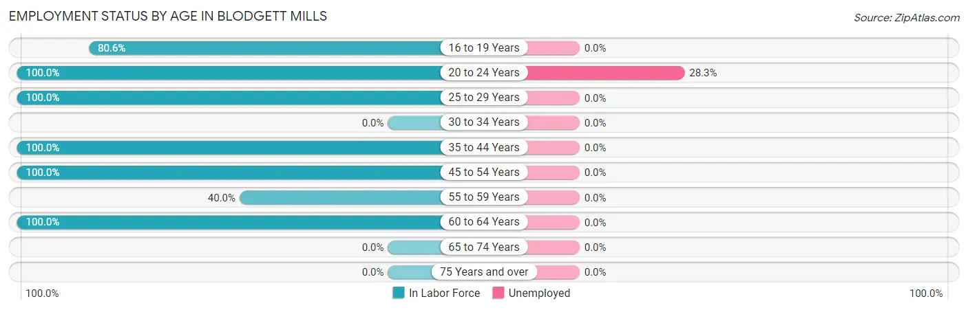 Employment Status by Age in Blodgett Mills