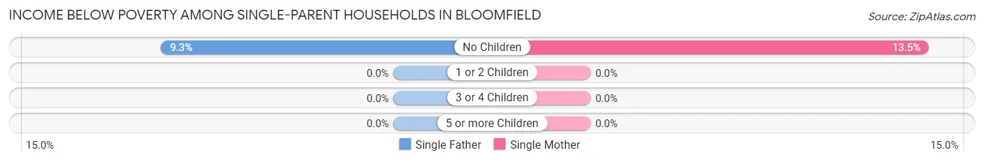 Income Below Poverty Among Single-Parent Households in Bloomfield