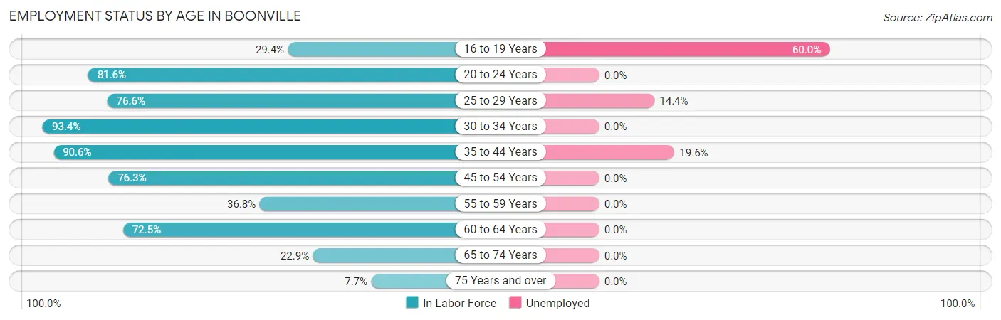 Employment Status by Age in Boonville