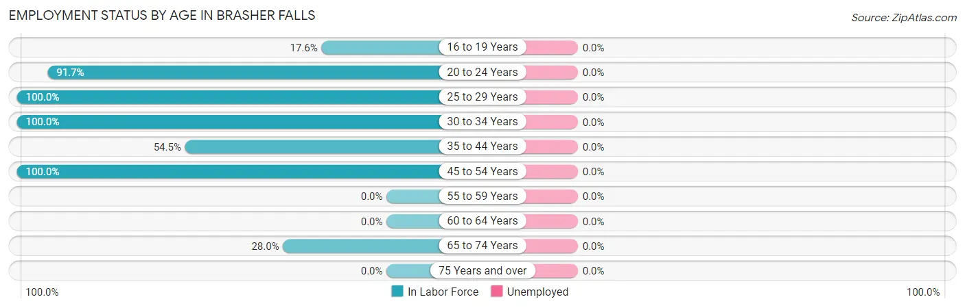 Employment Status by Age in Brasher Falls