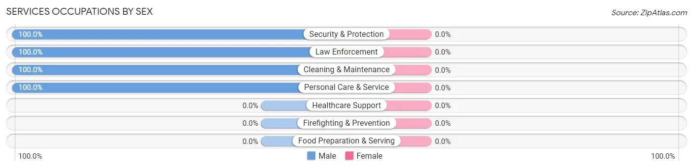 Services Occupations by Sex in Brasher Falls