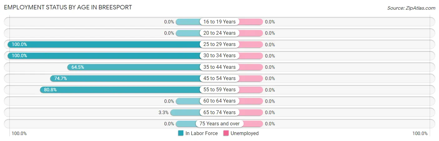 Employment Status by Age in Breesport