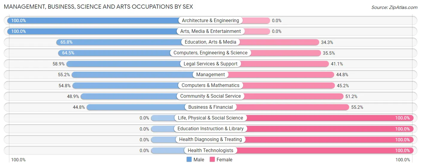 Management, Business, Science and Arts Occupations by Sex in Brewerton