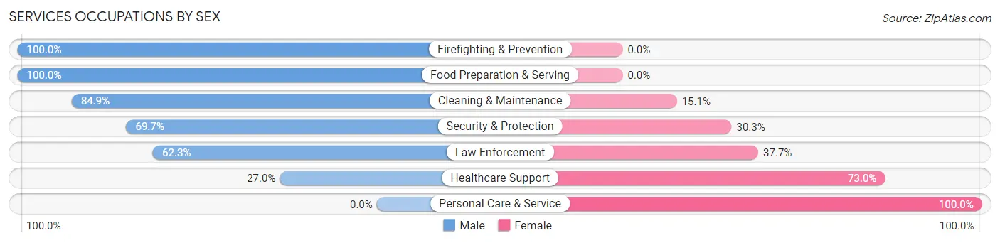 Services Occupations by Sex in Brewerton