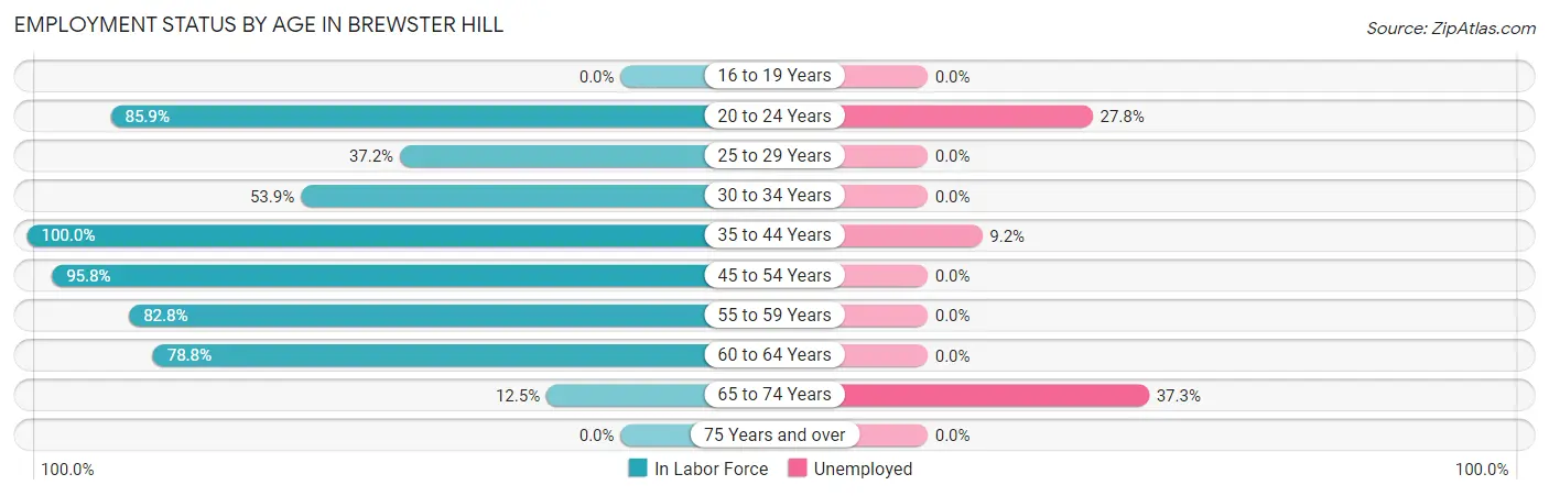 Employment Status by Age in Brewster Hill
