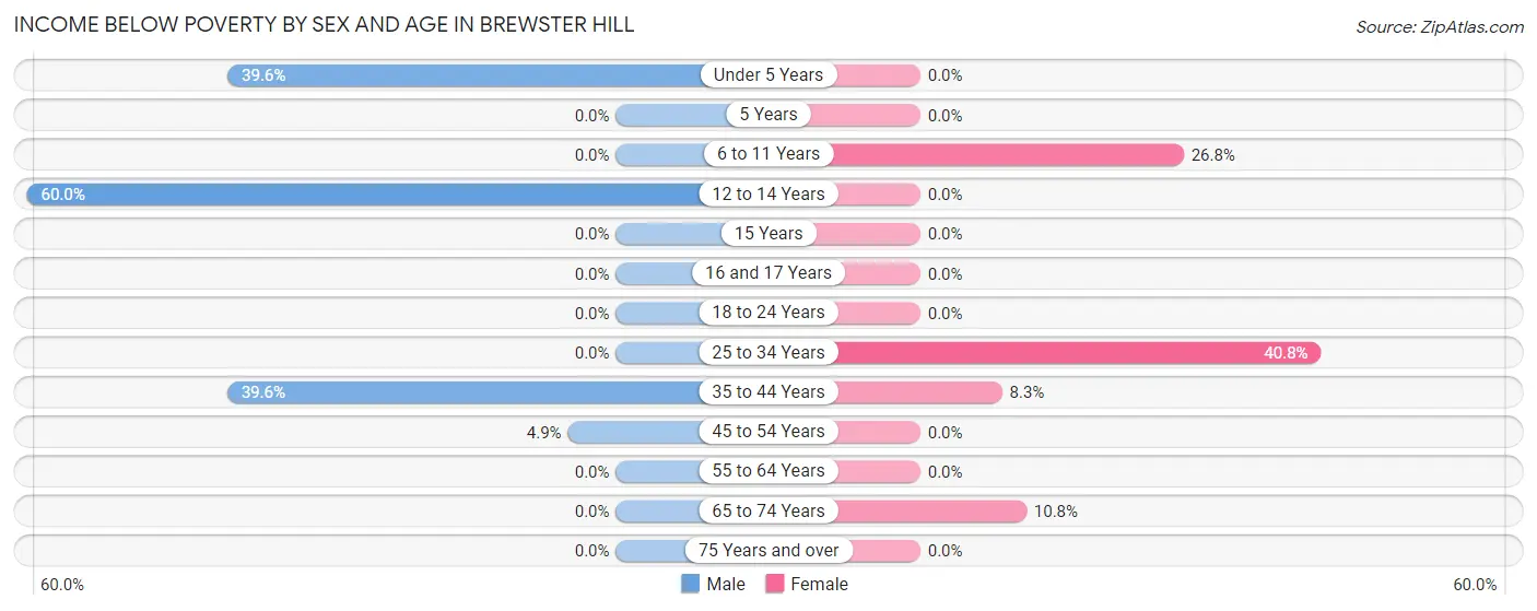 Income Below Poverty by Sex and Age in Brewster Hill