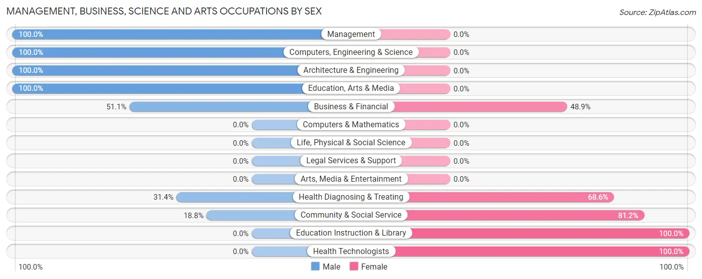 Management, Business, Science and Arts Occupations by Sex in Brewster Hill