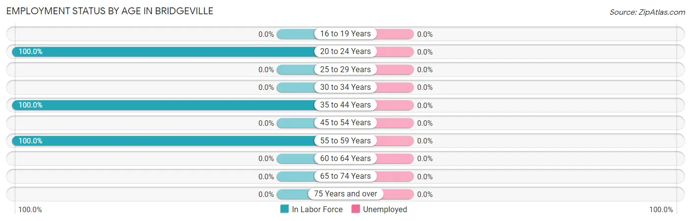Employment Status by Age in Bridgeville