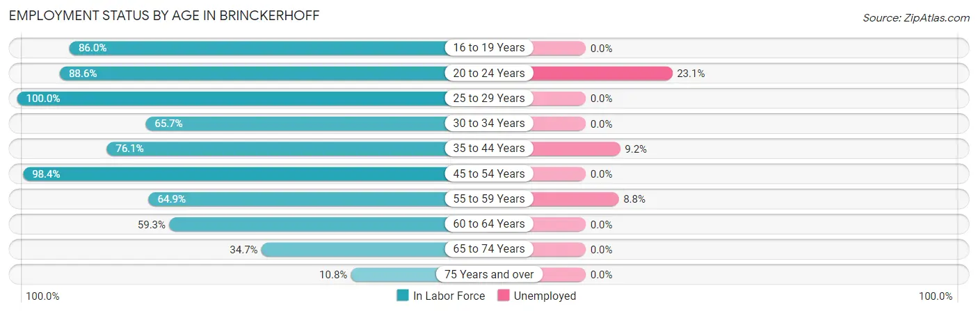 Employment Status by Age in Brinckerhoff