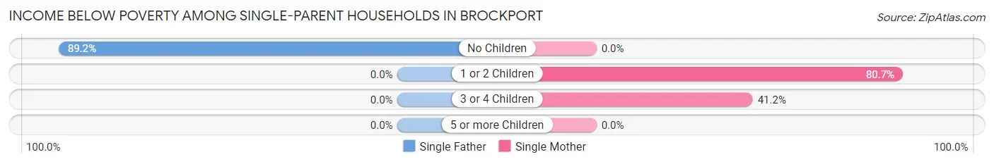 Income Below Poverty Among Single-Parent Households in Brockport