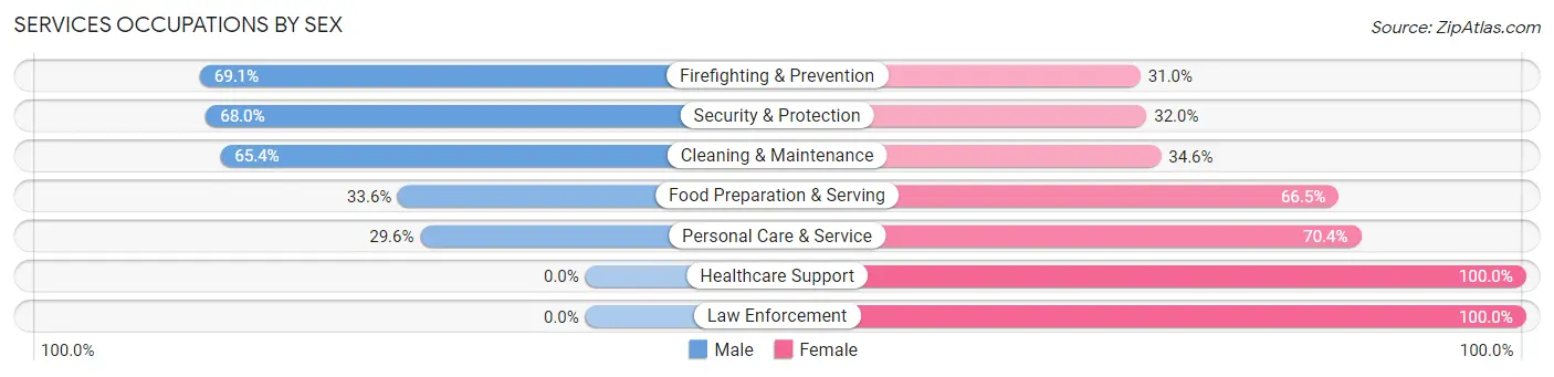 Services Occupations by Sex in Brockport