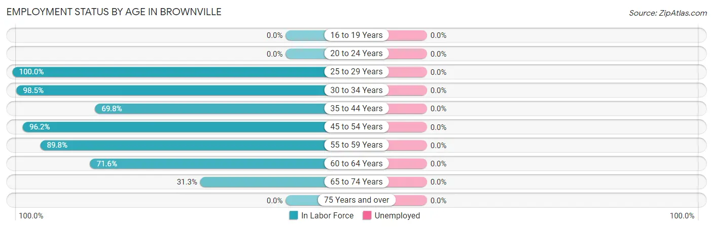 Employment Status by Age in Brownville