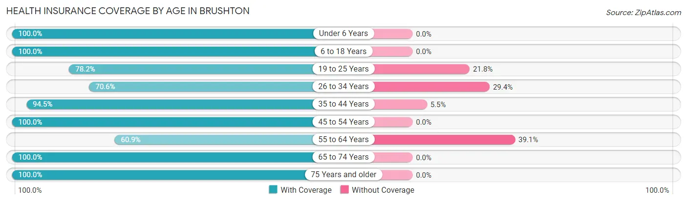Health Insurance Coverage by Age in Brushton