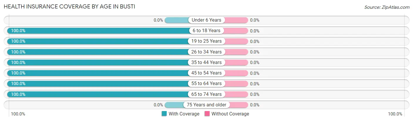 Health Insurance Coverage by Age in Busti