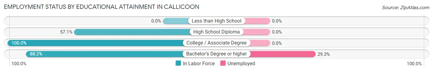 Employment Status by Educational Attainment in Callicoon
