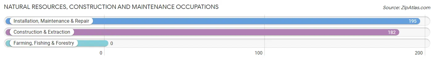 Natural Resources, Construction and Maintenance Occupations in Calverton