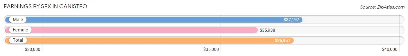 Earnings by Sex in Canisteo