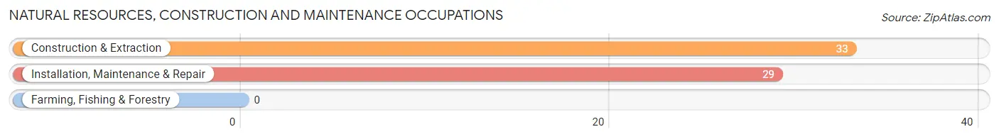 Natural Resources, Construction and Maintenance Occupations in Canisteo