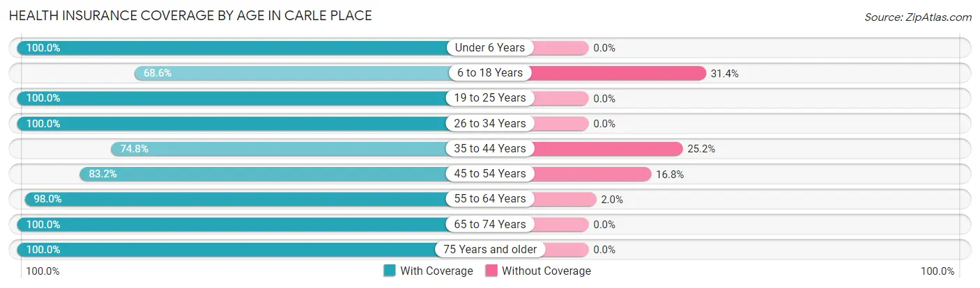 Health Insurance Coverage by Age in Carle Place