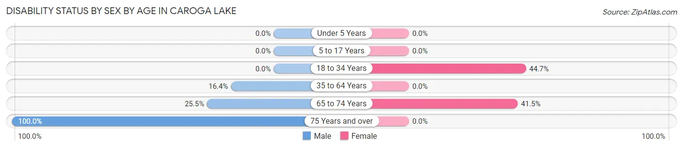 Disability Status by Sex by Age in Caroga Lake