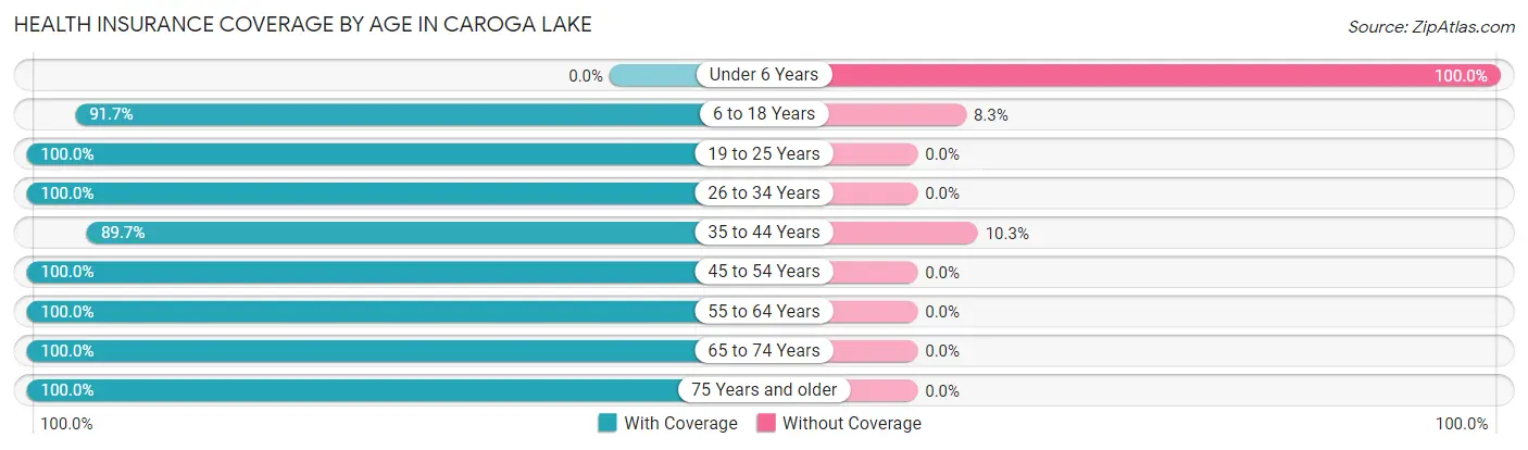 Health Insurance Coverage by Age in Caroga Lake