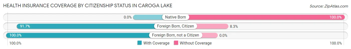 Health Insurance Coverage by Citizenship Status in Caroga Lake