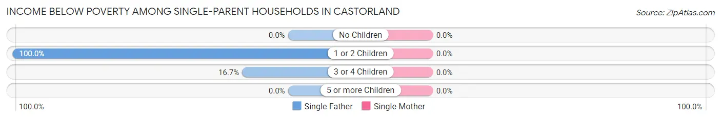 Income Below Poverty Among Single-Parent Households in Castorland