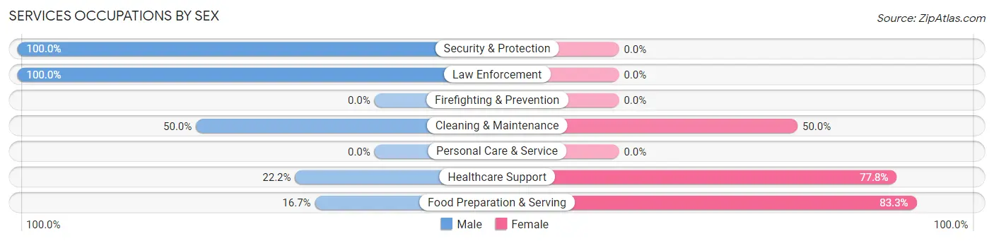 Services Occupations by Sex in Castorland