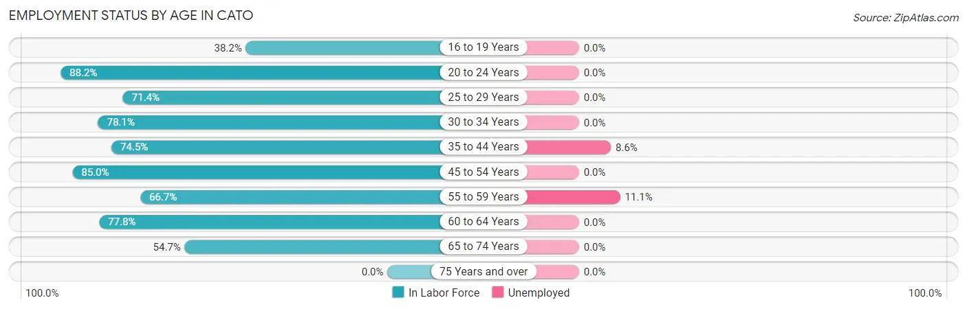 Employment Status by Age in Cato