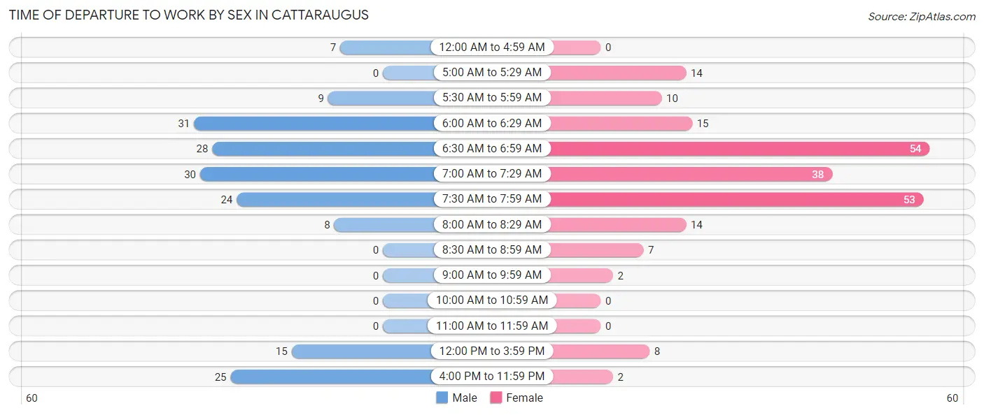 Time of Departure to Work by Sex in Cattaraugus