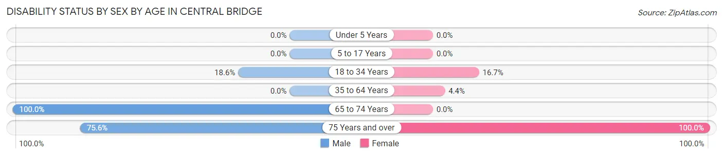 Disability Status by Sex by Age in Central Bridge