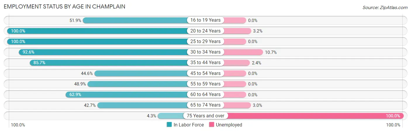 Employment Status by Age in Champlain