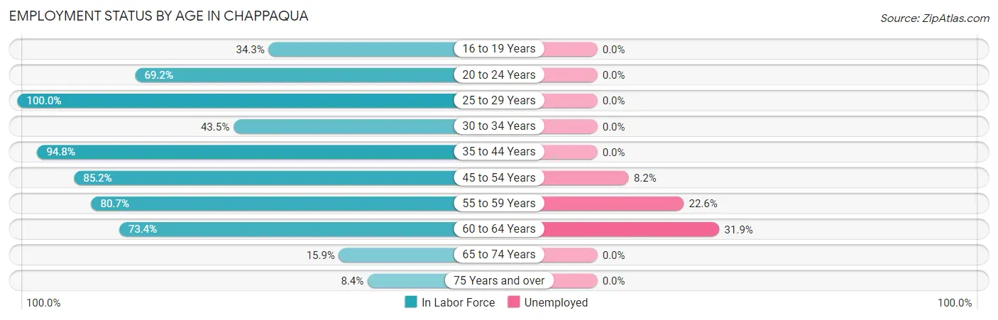Employment Status by Age in Chappaqua