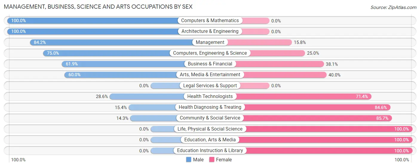 Management, Business, Science and Arts Occupations by Sex in Chaumont