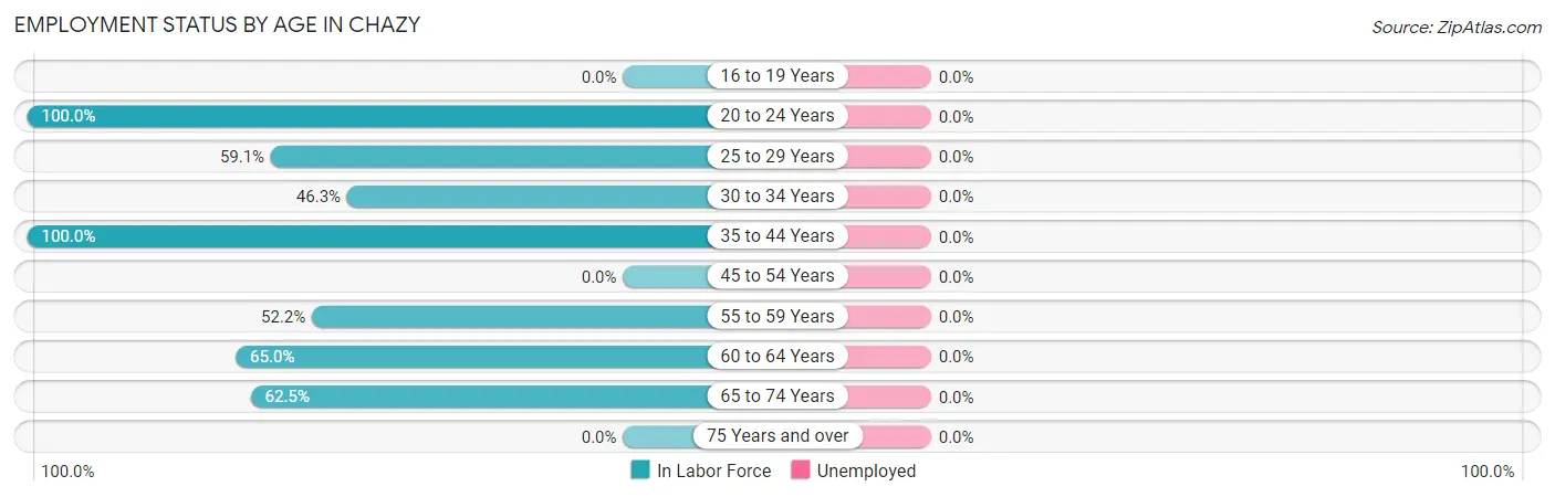 Employment Status by Age in Chazy