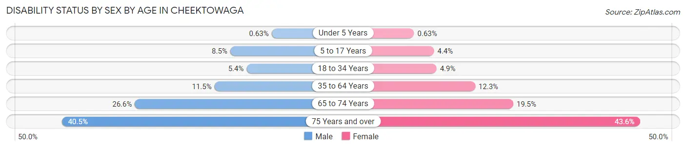 Disability Status by Sex by Age in Cheektowaga