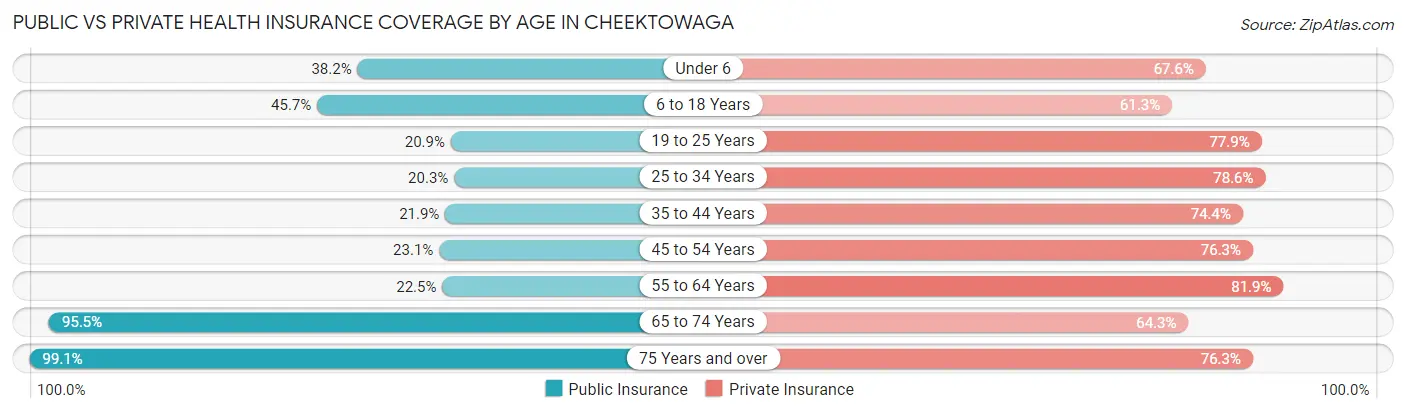 Public vs Private Health Insurance Coverage by Age in Cheektowaga