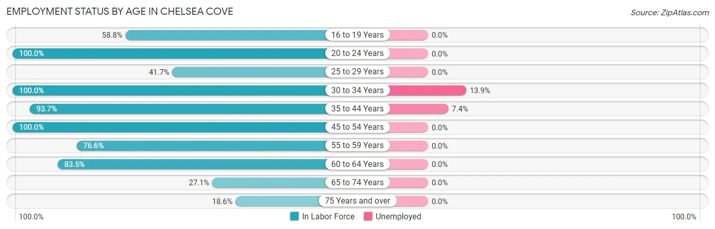 Employment Status by Age in Chelsea Cove