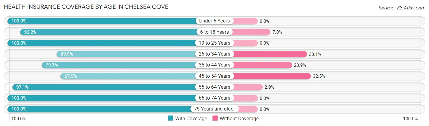 Health Insurance Coverage by Age in Chelsea Cove