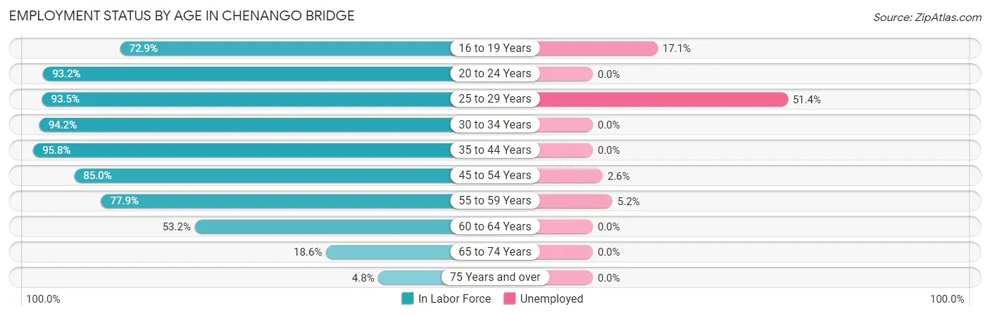 Employment Status by Age in Chenango Bridge