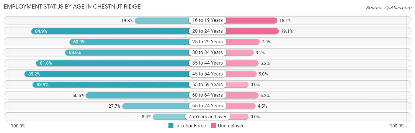 Employment Status by Age in Chestnut Ridge